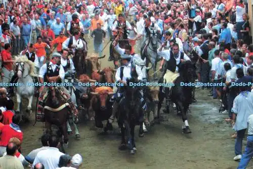 D163244 Segorbe. Entrada De Toros y Caballos. Excmo. Ayuntamiento de Segorbe. J.