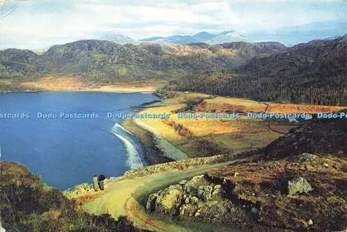 D163322 Wester Ross. Gruinard Bay. Auf der Suche nach einer Lehre. J. Arthur Dixon. 1962