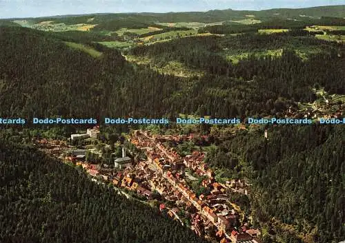 D163382 Triberg. Schwarzwald. Die Stadt im Hochwald. Werner. Freig. d.L.A