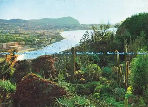 D163440 Forio D Ischia. Panorama e Giardino Esotico. Di Meglio. A.G.M. 1986