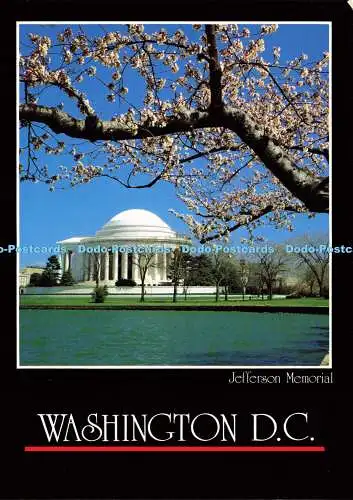 D167903 Washington. D. C. Jefferson Memorial. Schlag. Phil Stoddart