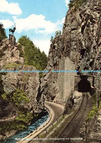 D167910 Hollental. Schwarzwald. Hirschsprung mit Jagerpfad. Werner