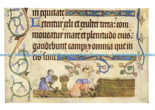 D180250 British Library. Ernte- und Bindescheiben. Luttrell Psalter. Englisch.