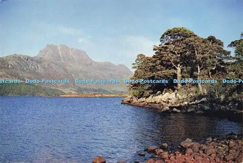 D180356 Wester Ross. Loch Maree. eines der feinsten Lochs des schottischen Highlans