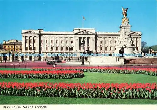 D182028 London. Buckingham Palace. Rupert Magnus Trading