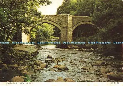 D182032 Dartmoor. Neue Brücke. Richter. C. 3629