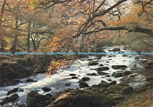 D182045 Gwynedd. River Lledr. Nr. Betws y Coed. J. Arthur Dixon