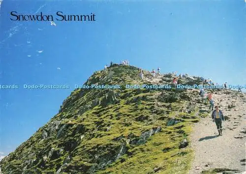 D182047 Snowdon Summit Judges. C. 10622