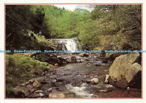 D182049 Wales. Wasserfall auf dem Brefwr Nant. J. Arthur Dixon. Colin Underhill