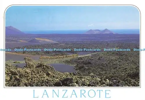 D180536 Lanzarote. Parque Nacional de Timanfaya. A. Murillo