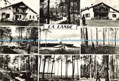 D182072 La Lande. Le Berger. L. Chatagneau. RP. Multi View