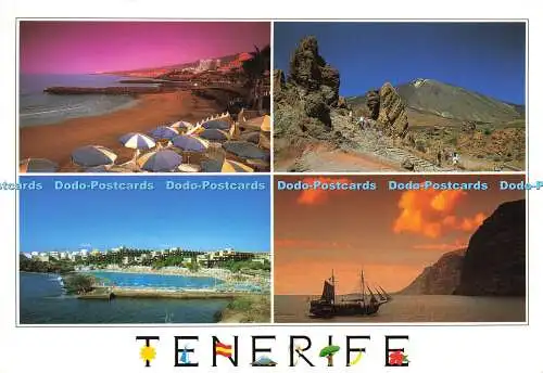 D180553 Teneriffa. El Teide. A. M. Jose Barea Y A. Murillo. 1999. Multi View