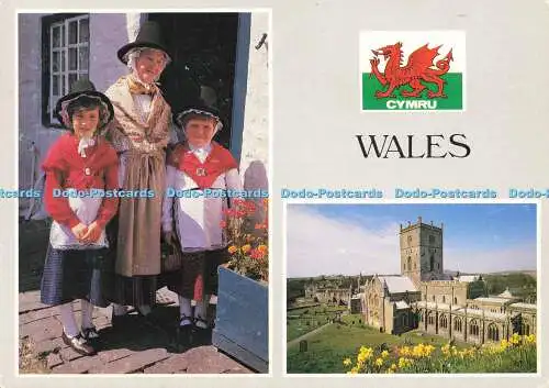 D182083 Wales. Walisische Nationalkostüm. Richter. C. 10784. 1990. Multi View