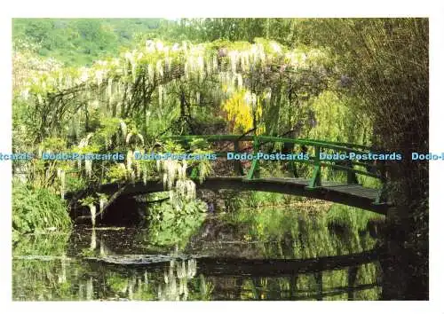 D180557 Der Wassergarten. Die japanische Brücke und die weiße Wistaria. Art Lys. F