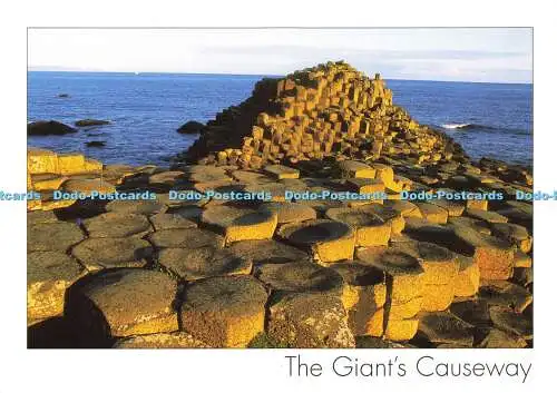 D180558 The Giant Causeway. Co. Antrim. Einblickkarten. Peter Zoller