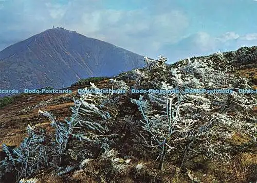 D182100 Riesengebirge. Mt. Snezka. Pressefoto. Ing. Jiri Havel