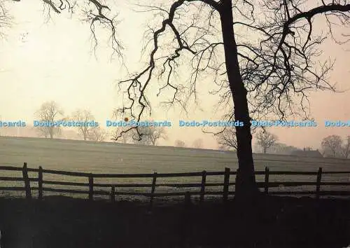 D180671 Dusk in the Dales. David Green. Scapes