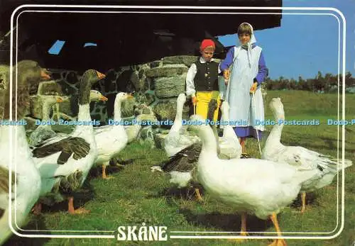 D180869 Skane. Ultraforlaget AB. Ultra. Hallberg und Carlsson