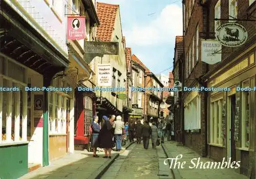 D182503 York. The Shambles. J. Lachs