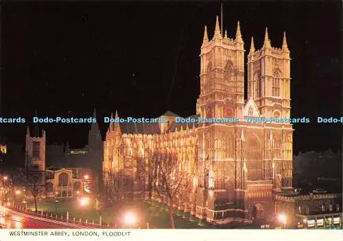 D181041 London. Westminster Abbey. Flutlicht. Rupert Magnus Trading