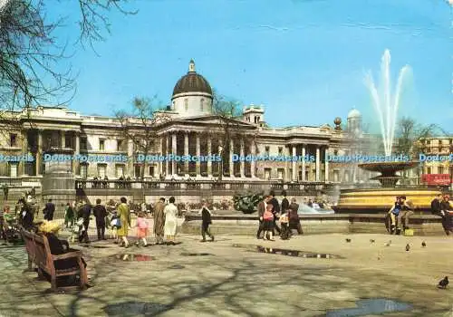 D184136 London. Trafalgar Square. Die Nationalgalerie. Pitkin Bild Postwagen