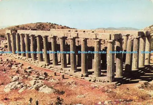 D181195 Der Tempel des Apollon Epikourios. E. Tzaferis. Hannibal