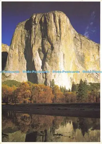 D185982 El Capitan. Dieser enorme Monolith aus Granit erhebt sich 3. 604 Fuß darüber