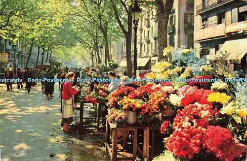 D184273 Barcelona. Rambla der Blumen. Zerkowitz