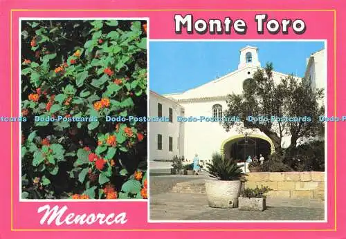 D184277 Menorca. Monte Toro. Lucia Mora. Serie Flores No. 2. Multi View. 1999