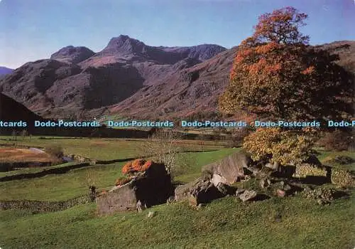 D184327 Great Langdale. Blick auf die Langdale Pikes. National Trust. Larkf