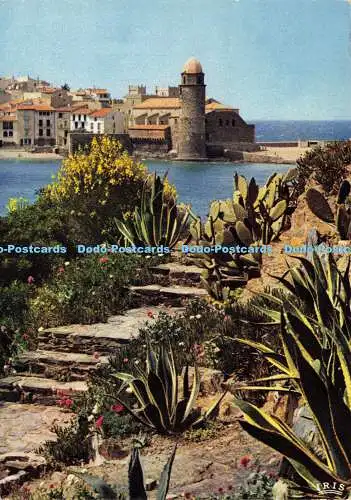 D186053 Collioure. Pyrenäen Orientales. Joyau de la Cote Catalane. Echappee sur