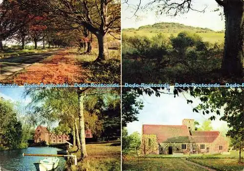 D182947 Dorset. Rund um Wimborne. The Beech Avenue in der Nähe von Badbury Rings. J. Arthur