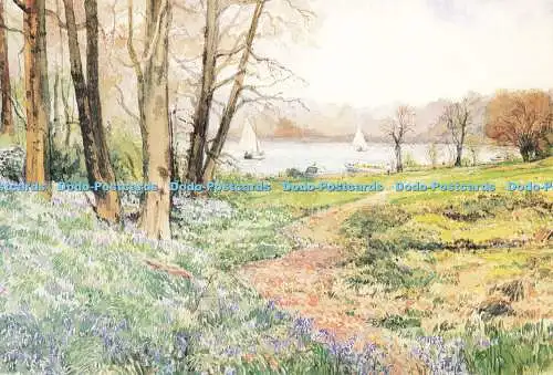 D184397 Salhouse Broad. Bluebell Time. Gowise-Druck. Keith Johnson