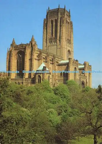 D186133 Kathedrale von Liverpool. Richter. C 14105 X