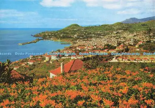 D182984 Funchal. Madeira. Western View. Hans Huber. F. Ribeiro