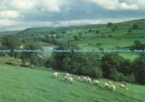 D181432 Swaledale. Going Home. Reeth. David Green. Scapes. 1994