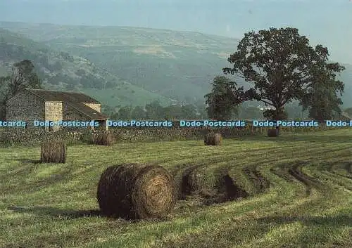 D181433 Wharfedale. Erntezeit in der Nähe von Buckden. David Green. Scapes