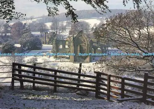 D181434 Wharfedale. Bolton Abbey. David Green. Scapes