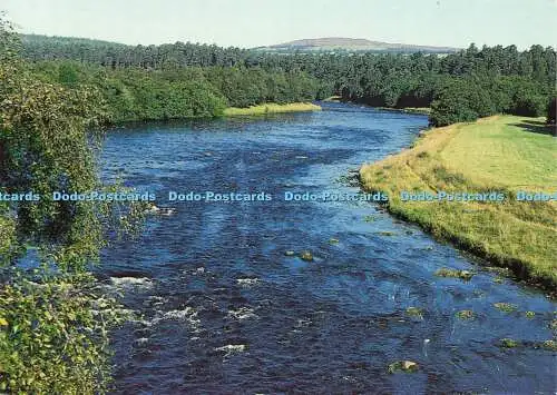 D184433 River Spey in Grantown. Phil Banks Photography