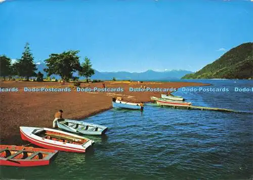 D181466 X Region. Lago Todos Los Santos. Sodisar