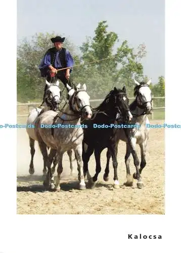 D186201 Ungarn. Puzsta Reiter in der Nähe von Kalocsa. Viking River Cruises