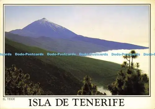 D183166 Isla de Tenerife. El Teide. Vista del Teide Desde la Carretera Dorsal. D