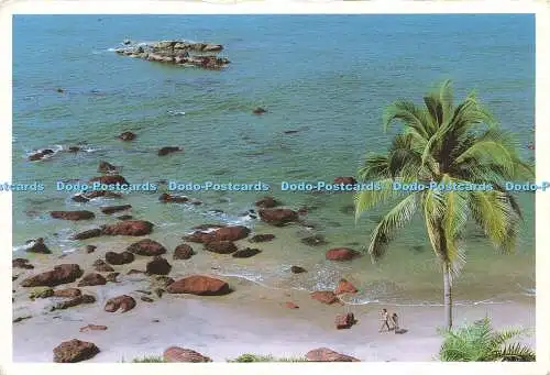 D181656 Indien. Arabisches Meer. Goa. V. B. Anand