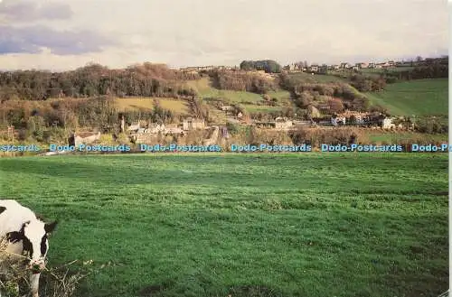 D183220 Blick auf das Dorf. Wiese und Kuh. Postkarte