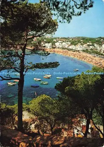 D184746 Costa Brava. Llafranch. Fabregat. Nr. 1261