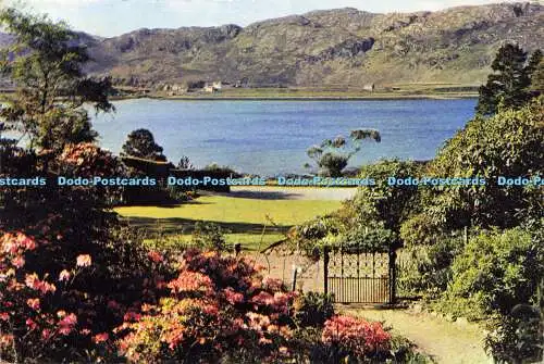 D183351 Wester Ross. Blick vom Inverewe Garden. J. Arthur Dixon. 1965