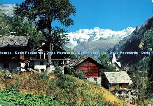 D181800 Gressoney. Maisons Typiques de la Vallee aux Penchants du Mt. Rosa. Saca