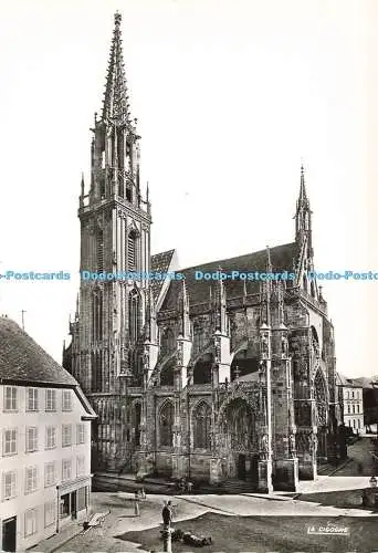 D184821 Thann. La Cathedrale. La Cigogne. Andre Leconte. RP