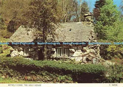 D181829 Betws y Coed. Das hässliche Haus. Richter. C. 2493. X