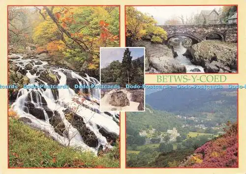 D181831 Betws y Coed. Schwalbenfälle. Richter. C. 13913. 1993. Multi View